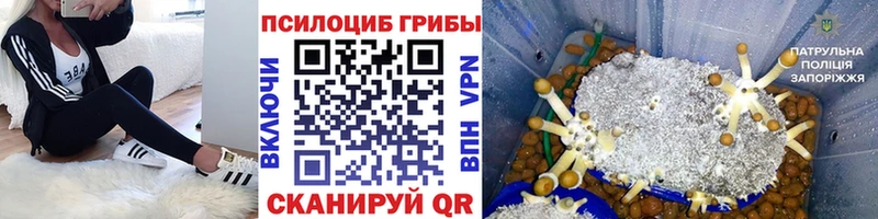 Галлюциногенные грибы MAGIC MUSHROOMS  Щёлкино 